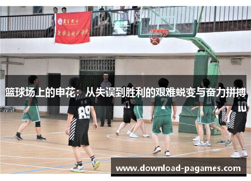 篮球场上的申花：从失误到胜利的艰难蜕变与奋力拼搏