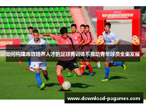 如何构建高效培养人才的足球青训体系推动青年球员全面发展