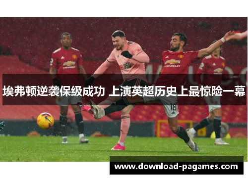 埃弗顿逆袭保级成功 上演英超历史上最惊险一幕