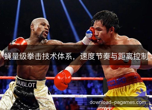 蝇量级拳击技术体系,速度节奏与距离控制 蝇量级拳击技术体系,速度节奏与距离控制